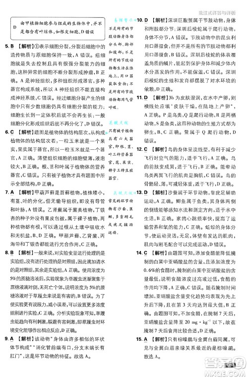 开明出版社2025届初中必刷题拔尖提优训练七年级生物上册济南版答案 开明出版社2025届初中必刷题拔尖提优训练七年级生物上册济南版答案