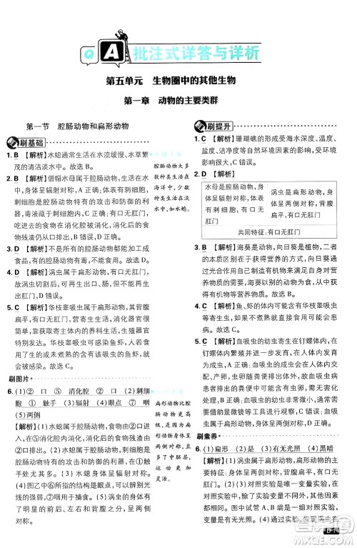 开明出版社2025届初中必刷题拔尖提优训练八年级生物上册人教版答案