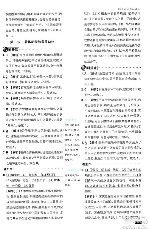 开明出版社2025届初中必刷题拔尖提优训练八年级生物上册人教版答案 开明出版社2025届初中必刷题拔尖提优训练八年级生物上册人教版答案