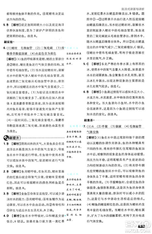 开明出版社2025届初中必刷题拔尖提优训练八年级生物上册人教版答案 开明出版社2025届初中必刷题拔尖提优训练八年级生物上册人教版答案