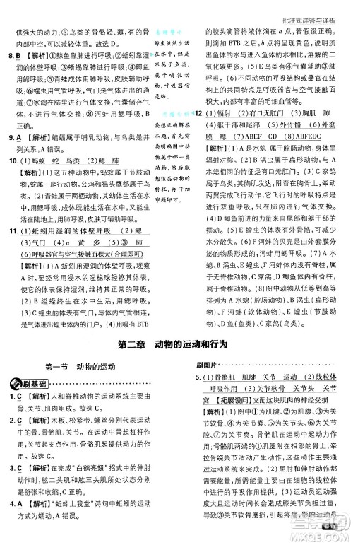 开明出版社2025届初中必刷题拔尖提优训练八年级生物上册人教版答案 开明出版社2025届初中必刷题拔尖提优训练八年级生物上册人教版答案