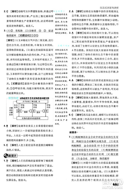 开明出版社2025届初中必刷题拔尖提优训练八年级生物上册人教版答案