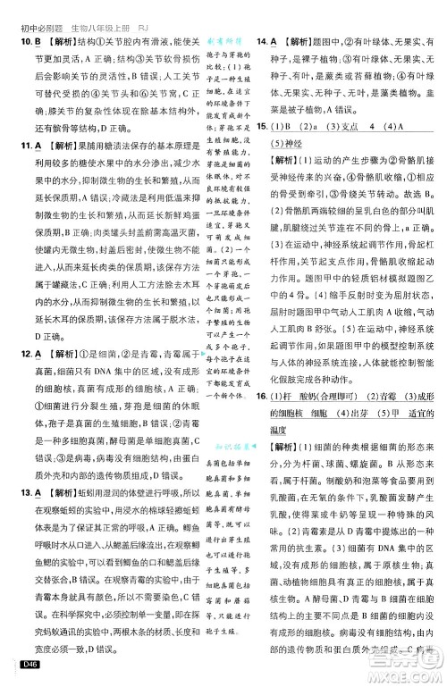 开明出版社2025届初中必刷题拔尖提优训练八年级生物上册人教版答案 开明出版社2025届初中必刷题拔尖提优训练八年级生物上册人教版答案