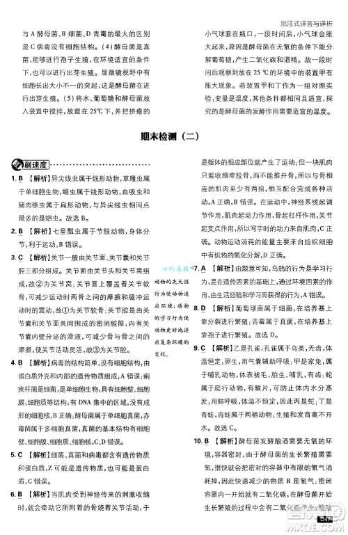 开明出版社2025届初中必刷题拔尖提优训练八年级生物上册人教版答案 开明出版社2025届初中必刷题拔尖提优训练八年级生物上册人教版答案