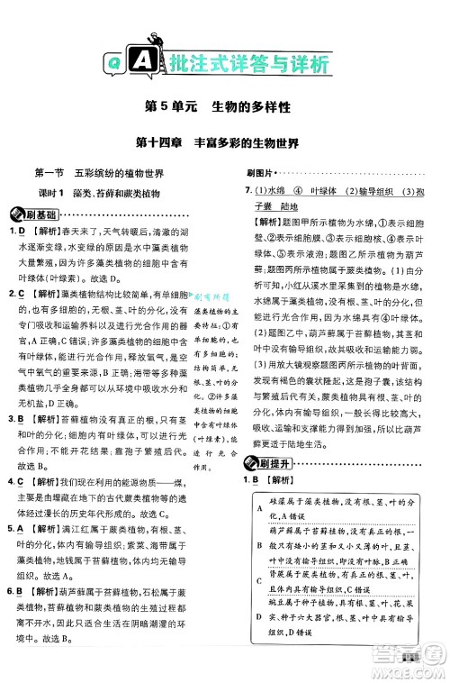 开明出版社2025届初中必刷题拔尖提优训练八年级生物上册苏教版答案