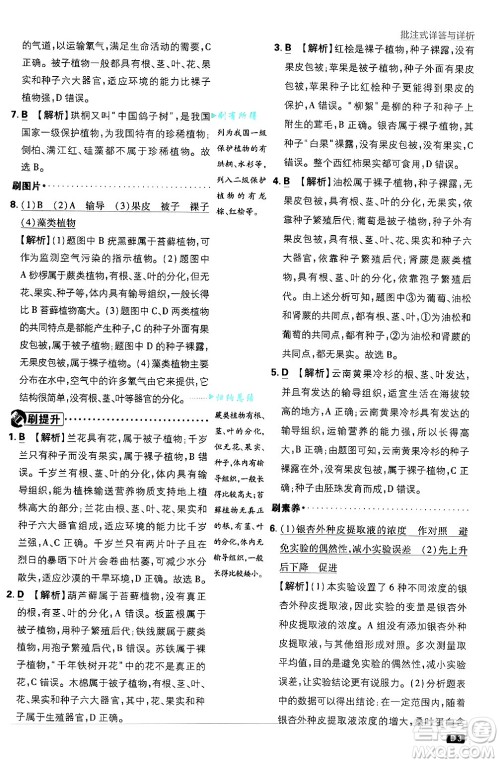 开明出版社2025届初中必刷题拔尖提优训练八年级生物上册苏教版答案 开明出版社2025届初中必刷题拔尖提优训练八年级生物上册苏教版答案