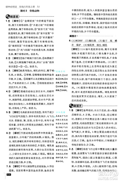 开明出版社2025届初中必刷题拔尖提优训练八年级生物上册苏教版答案
