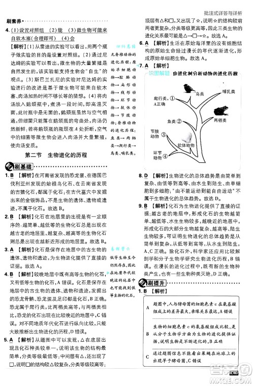 开明出版社2025届初中必刷题拔尖提优训练八年级生物上册苏教版答案