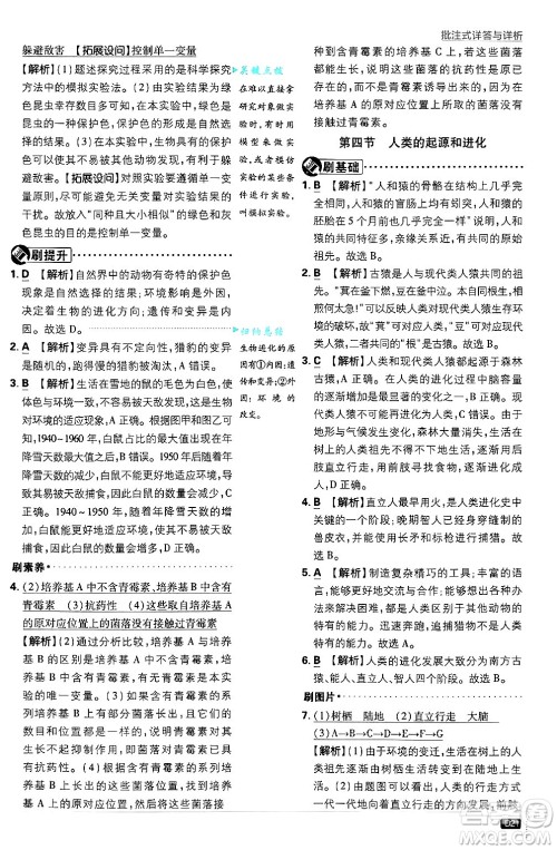 开明出版社2025届初中必刷题拔尖提优训练八年级生物上册苏教版答案 开明出版社2025届初中必刷题拔尖提优训练八年级生物上册苏教版答案