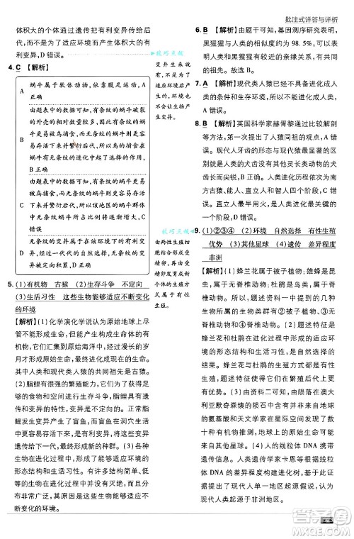 开明出版社2025届初中必刷题拔尖提优训练八年级生物上册苏教版答案 开明出版社2025届初中必刷题拔尖提优训练八年级生物上册苏教版答案