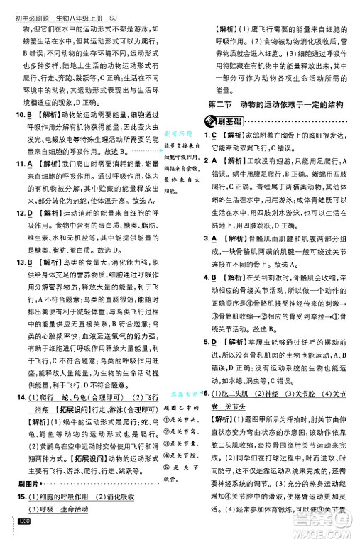 开明出版社2025届初中必刷题拔尖提优训练八年级生物上册苏教版答案 开明出版社2025届初中必刷题拔尖提优训练八年级生物上册苏教版答案