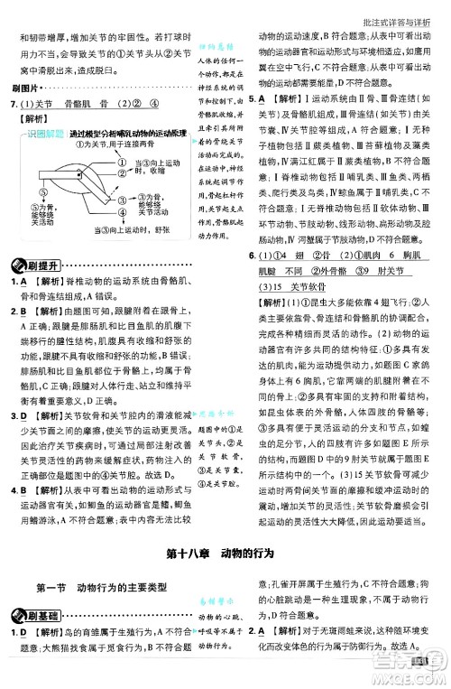 开明出版社2025届初中必刷题拔尖提优训练八年级生物上册苏教版答案