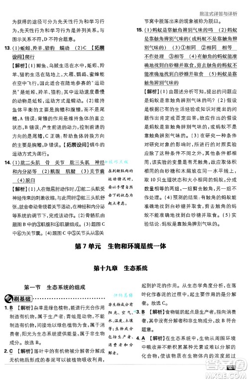 开明出版社2025届初中必刷题拔尖提优训练八年级生物上册苏教版答案 开明出版社2025届初中必刷题拔尖提优训练八年级生物上册苏教版答案
