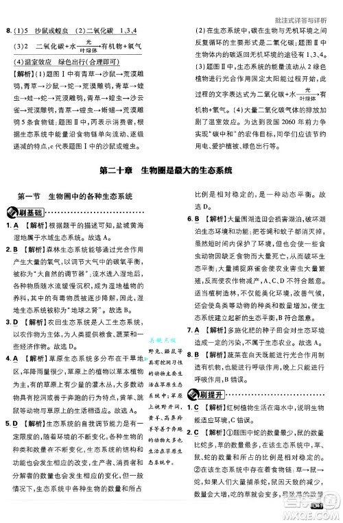 开明出版社2025届初中必刷题拔尖提优训练八年级生物上册苏教版答案 开明出版社2025届初中必刷题拔尖提优训练八年级生物上册苏教版答案