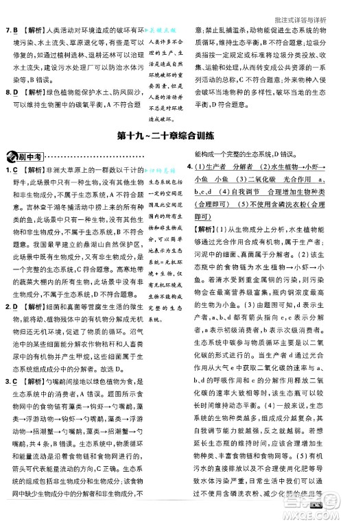 开明出版社2025届初中必刷题拔尖提优训练八年级生物上册苏教版答案 开明出版社2025届初中必刷题拔尖提优训练八年级生物上册苏教版答案