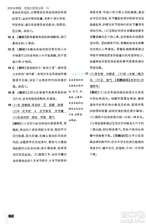 开明出版社2025届初中必刷题拔尖提优训练八年级生物上册苏教版答案 开明出版社2025届初中必刷题拔尖提优训练八年级生物上册苏教版答案