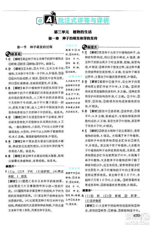 开明出版社2025届初中必刷题拔尖提优训练八年级生物上册冀少版答案 开明出版社2025届初中必刷题拔尖提优训练八年级生物上册冀少版答案