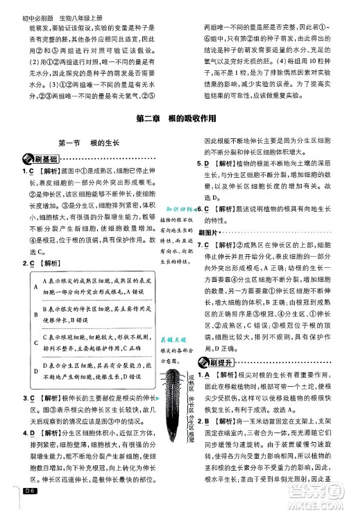 开明出版社2025届初中必刷题拔尖提优训练八年级生物上册冀少版答案