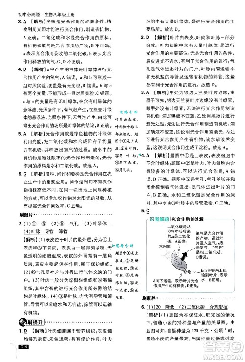 开明出版社2025届初中必刷题拔尖提优训练八年级生物上册冀少版答案 开明出版社2025届初中必刷题拔尖提优训练八年级生物上册冀少版答案