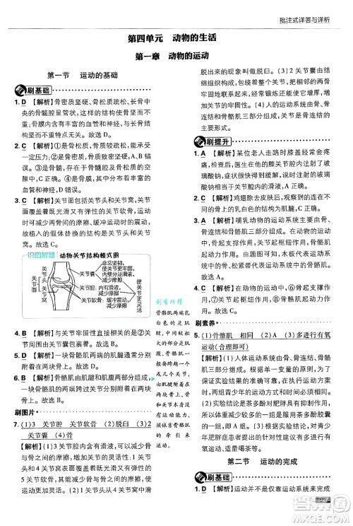 开明出版社2025届初中必刷题拔尖提优训练八年级生物上册冀少版答案