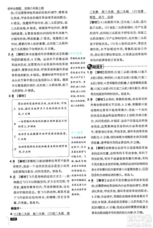 开明出版社2025届初中必刷题拔尖提优训练八年级生物上册冀少版答案 开明出版社2025届初中必刷题拔尖提优训练八年级生物上册冀少版答案