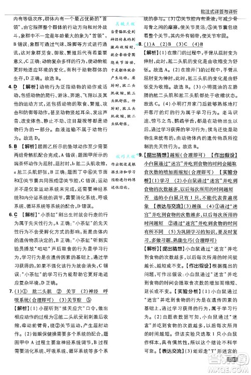 开明出版社2025届初中必刷题拔尖提优训练八年级生物上册冀少版答案 开明出版社2025届初中必刷题拔尖提优训练八年级生物上册冀少版答案