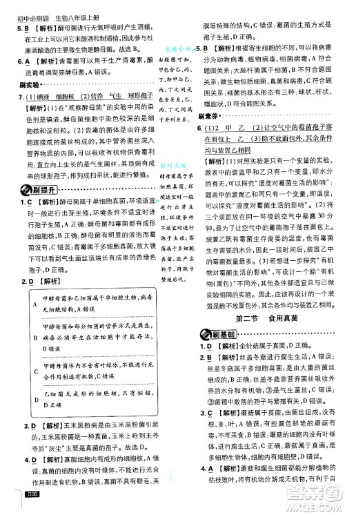 开明出版社2025届初中必刷题拔尖提优训练八年级生物上册冀少版答案 开明出版社2025届初中必刷题拔尖提优训练八年级生物上册冀少版答案