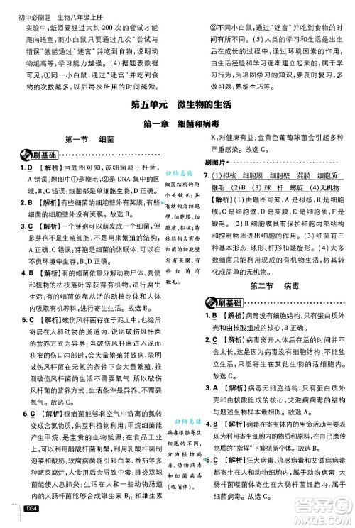 开明出版社2025届初中必刷题拔尖提优训练八年级生物上册冀少版答案 开明出版社2025届初中必刷题拔尖提优训练八年级生物上册冀少版答案