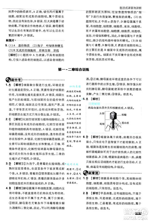 开明出版社2025届初中必刷题拔尖提优训练八年级生物上册冀少版答案 开明出版社2025届初中必刷题拔尖提优训练八年级生物上册冀少版答案