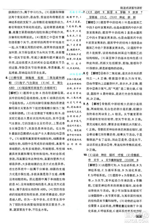 开明出版社2025届初中必刷题拔尖提优训练八年级生物上册冀少版答案 开明出版社2025届初中必刷题拔尖提优训练八年级生物上册冀少版答案