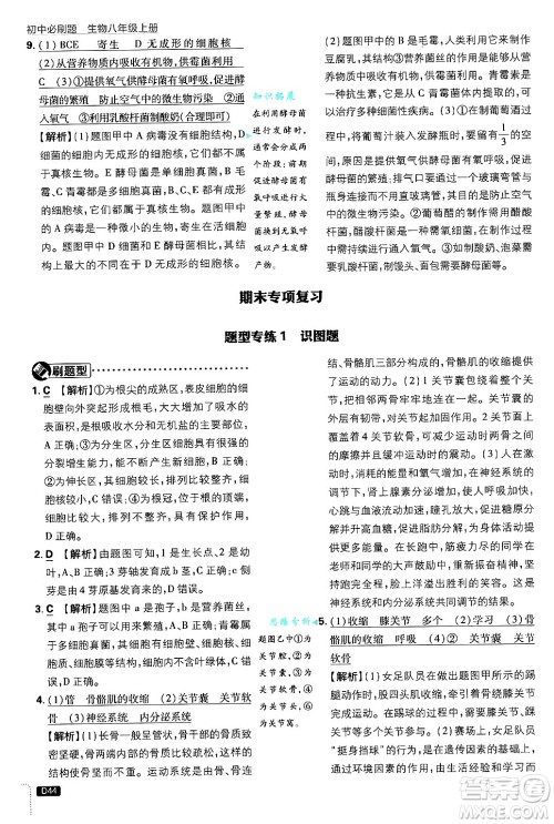 开明出版社2025届初中必刷题拔尖提优训练八年级生物上册冀少版答案 开明出版社2025届初中必刷题拔尖提优训练八年级生物上册冀少版答案