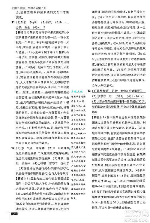 开明出版社2025届初中必刷题拔尖提优训练八年级生物上册冀少版答案 开明出版社2025届初中必刷题拔尖提优训练八年级生物上册冀少版答案