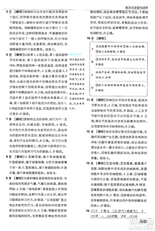 开明出版社2025届初中必刷题拔尖提优训练八年级生物上册冀少版答案 开明出版社2025届初中必刷题拔尖提优训练八年级生物上册冀少版答案