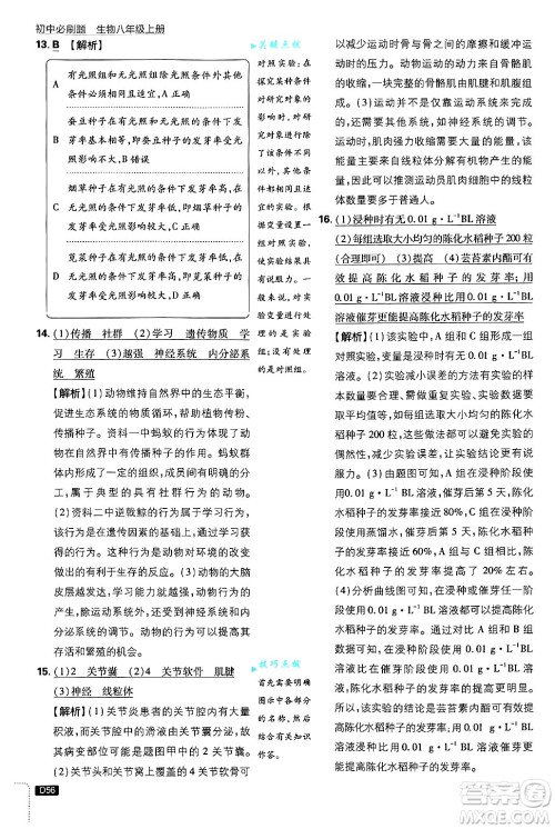 开明出版社2025届初中必刷题拔尖提优训练八年级生物上册冀少版答案 开明出版社2025届初中必刷题拔尖提优训练八年级生物上册冀少版答案