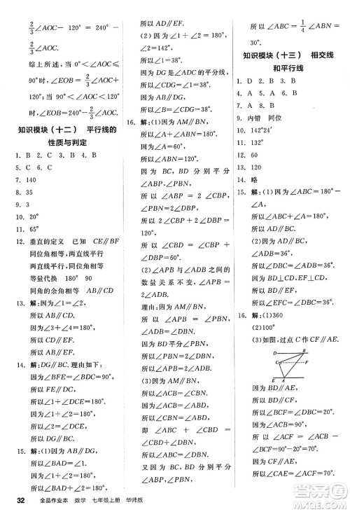 阳光出版社2024秋全品作业本七年级数学上册华师版答案