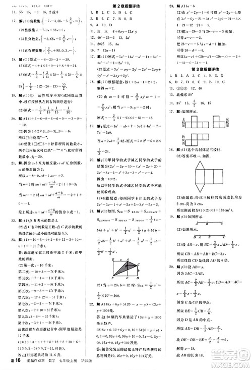 阳光出版社2024秋全品作业本七年级数学上册华师版答案