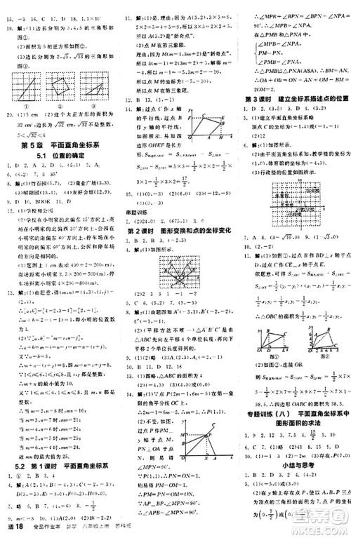 阳光出版社2024秋全品作业本八年级数学上册苏科版江苏专版答案