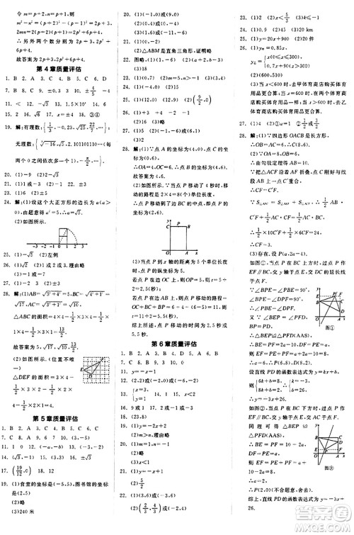 阳光出版社2024秋全品作业本八年级数学上册苏科版江苏专版答案