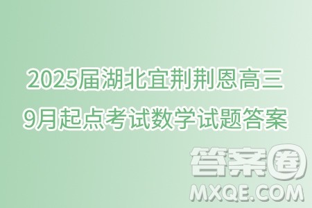 2025届湖北宜荆荆恩高三9月起点考试数学试题答案