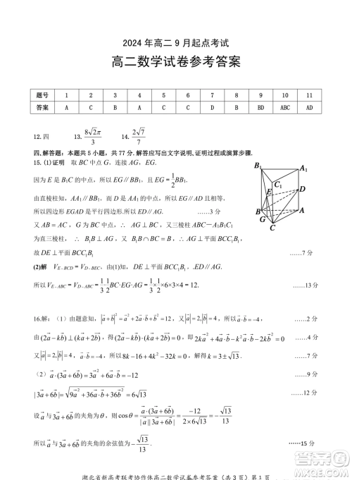 湖北新高考联考协作体2024年高二上学期开学考试数学试题答案