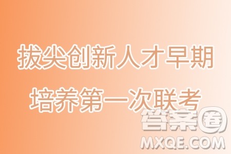 湖南邵阳2024年高一上学期拔尖创新人才早期培养第一次联考数学试卷答案