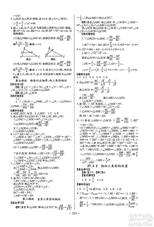 长江少年儿童出版社2025年秋长江全能学案同步练习册九年级数学全一册人教版答案