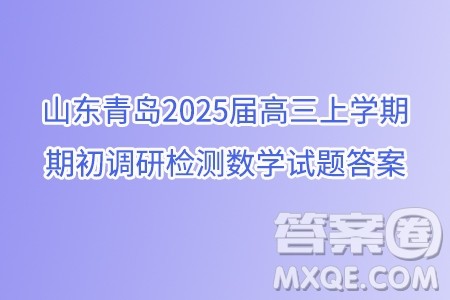 山东青岛2025届高三上学期期初调研检测数学试题答案 山东青岛2025届高三上学期期初调研检测数学试题答案