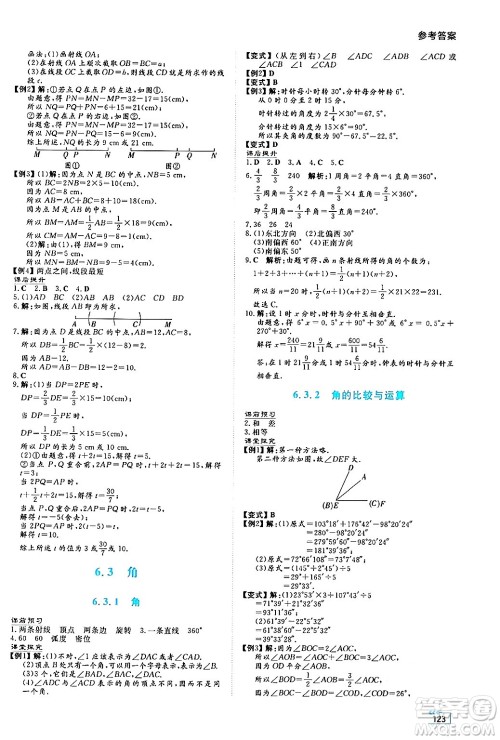 湖南教育出版社2024年秋学法大视野七年级数学上册人教版答案