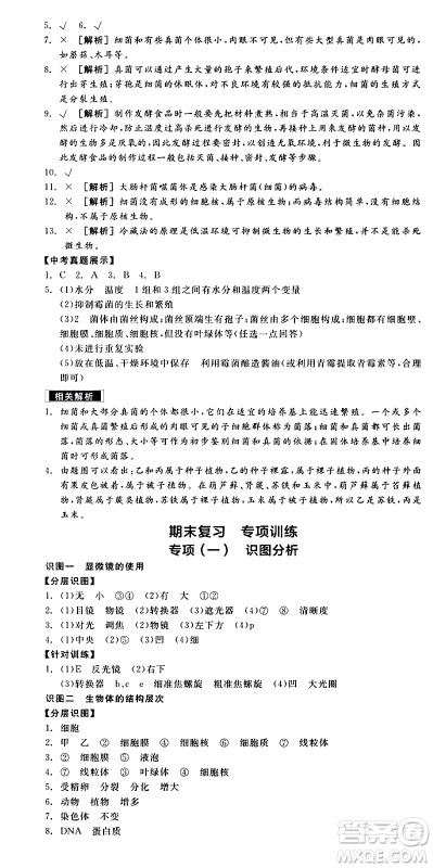 阳光出版社2024年秋全品学练考七年级生物上册人教版答案