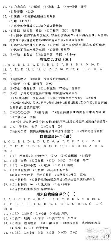 阳光出版社2024年秋全品学练考八年级生物上册人教版答案 阳光出版社2024年秋全品学练考八年级生物上册人教版答案