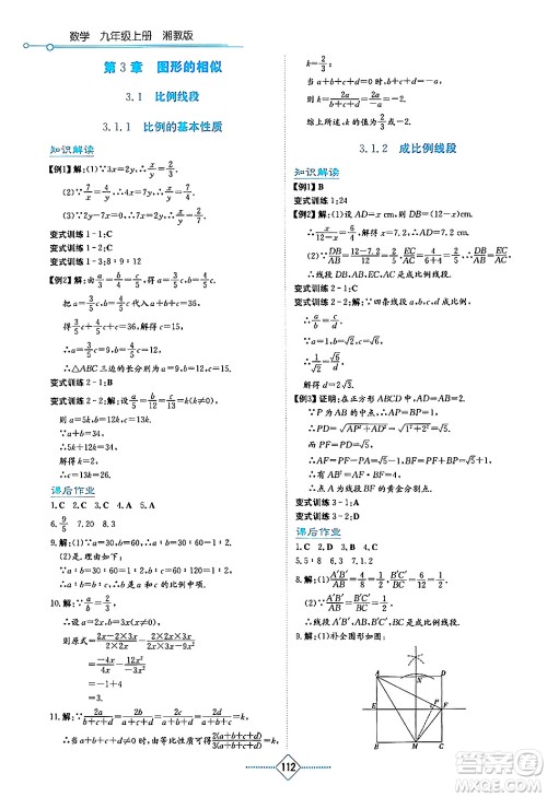 湖南教育出版社2024年秋学法大视野九年级数学上册湘教版答案