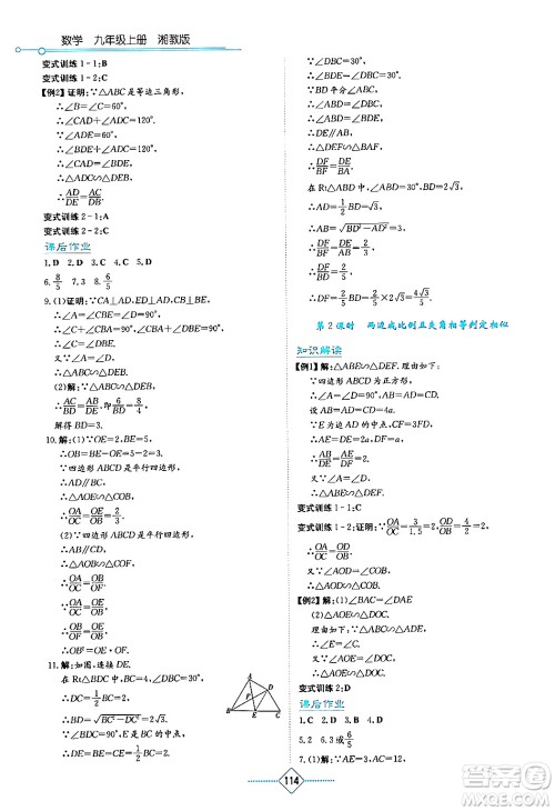 湖南教育出版社2024年秋学法大视野九年级数学上册湘教版答案