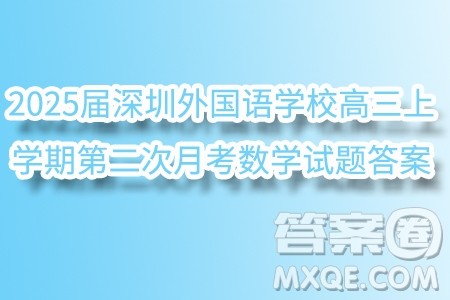 2025届深圳外国语学校高三上学期第二次月考数学试题答案