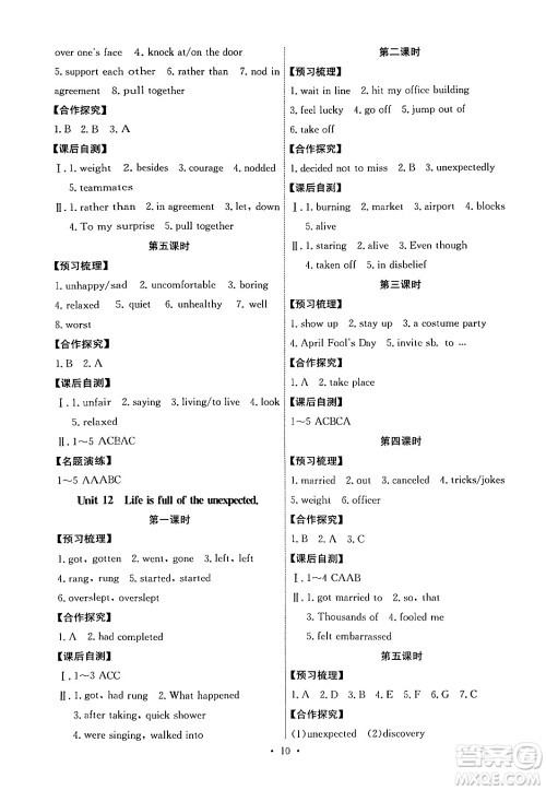 人民教育出版社2025年秋能力培养与测试九年级英语全一册人教版湖南专版答案 人民教育出版社2025年秋能力培养与测试九年级英语全一册人教版湖南专版答案